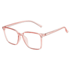 Sani Classic Glasses  Frame